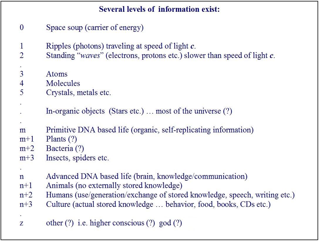 Information Universe Hierarchy